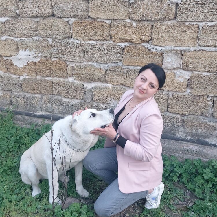 ���������� �����������, ���� ������� �������, 39 ���, ������������ ��� ������, ����� � ���������