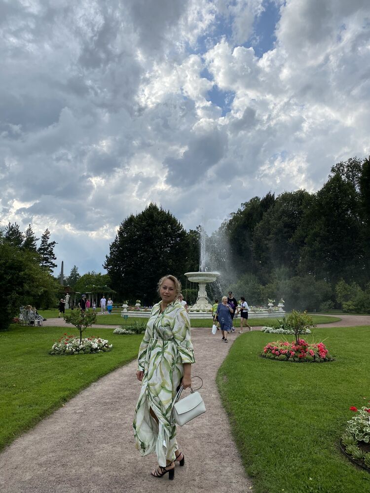  53964499  , 49 ,    -