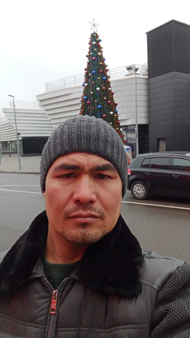 ���� 55815409 ������� ��������, 33 ����, ���� ���������� � ���������