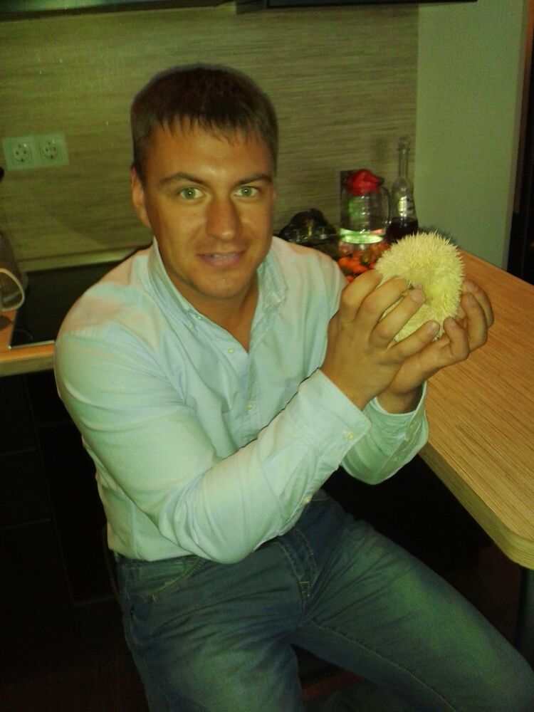  ,   Dimon, 43 ,   