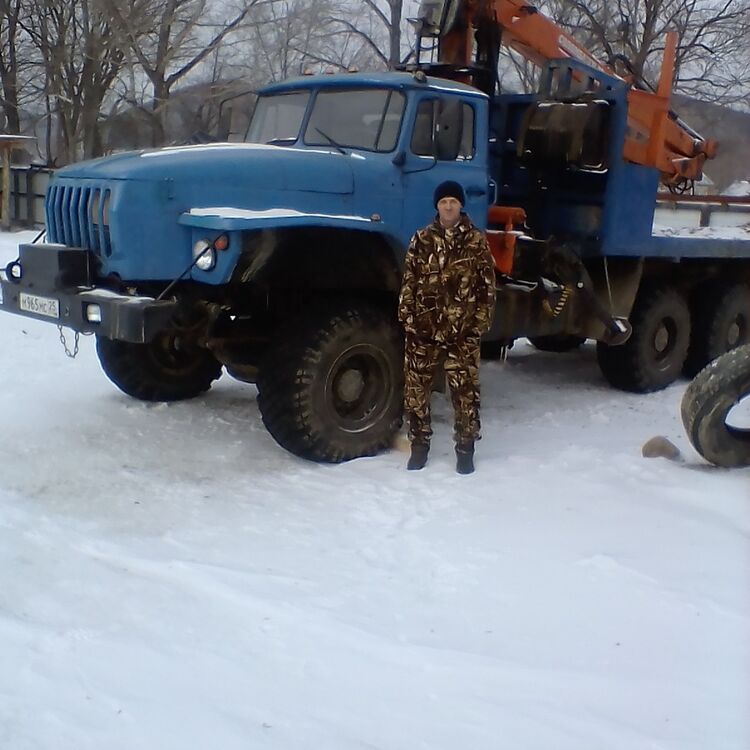  16681229  , 52 ,    