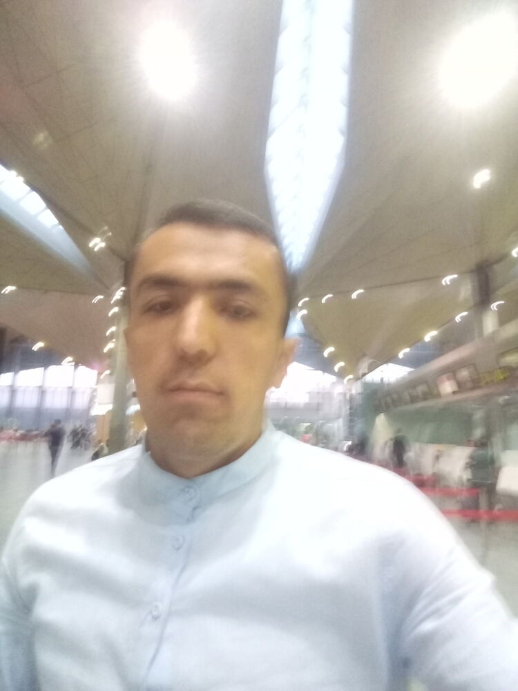  12428339  , 37 ,    -