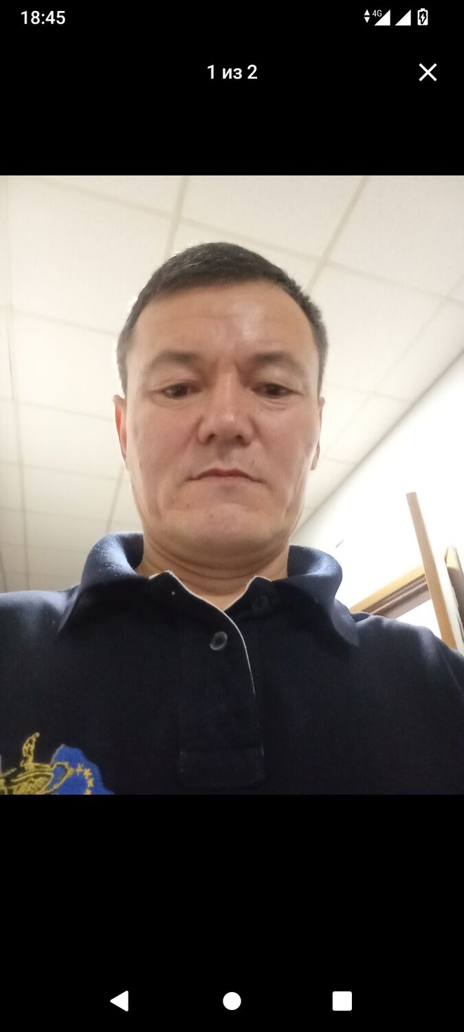  53401459  , 47 ,    
