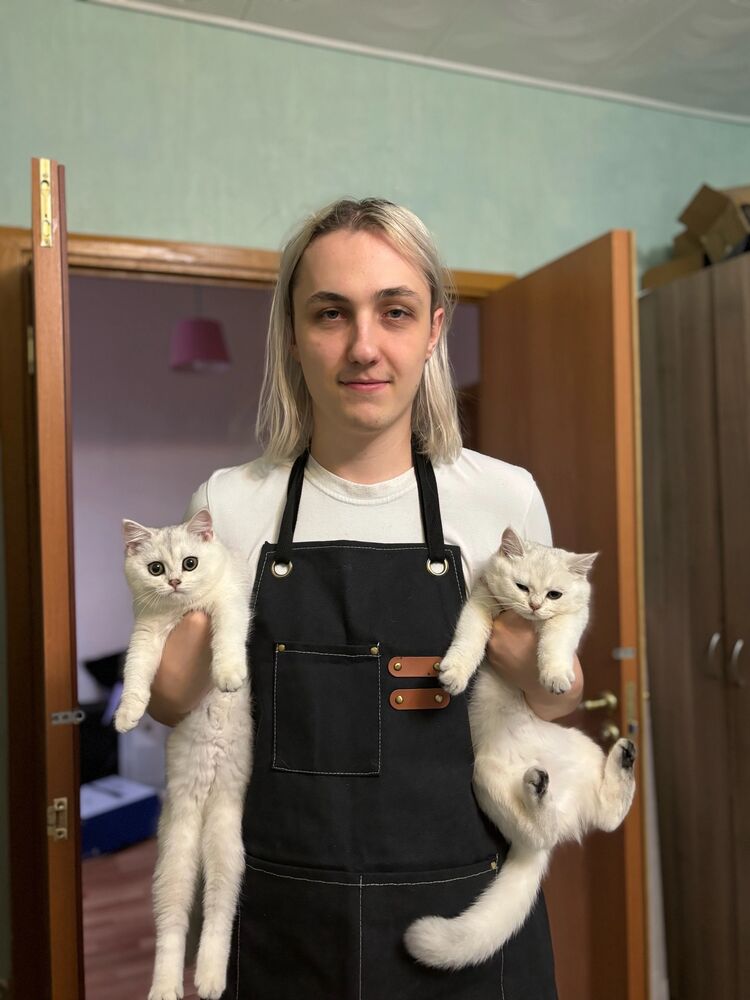 ���������� ������, ���� ����� ������, 23 ����, ������������ ��� ������, ����� � ���������, c�������� ���������