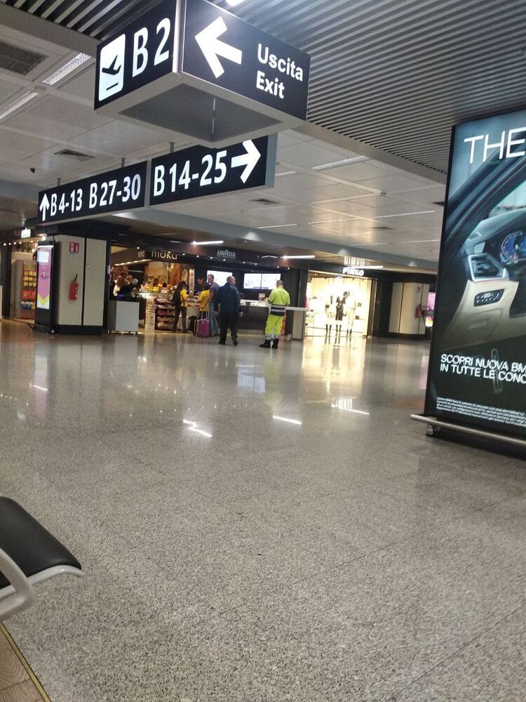 ���� 49175999 ������� ���, 52 ����, ���� ���������� � ��������