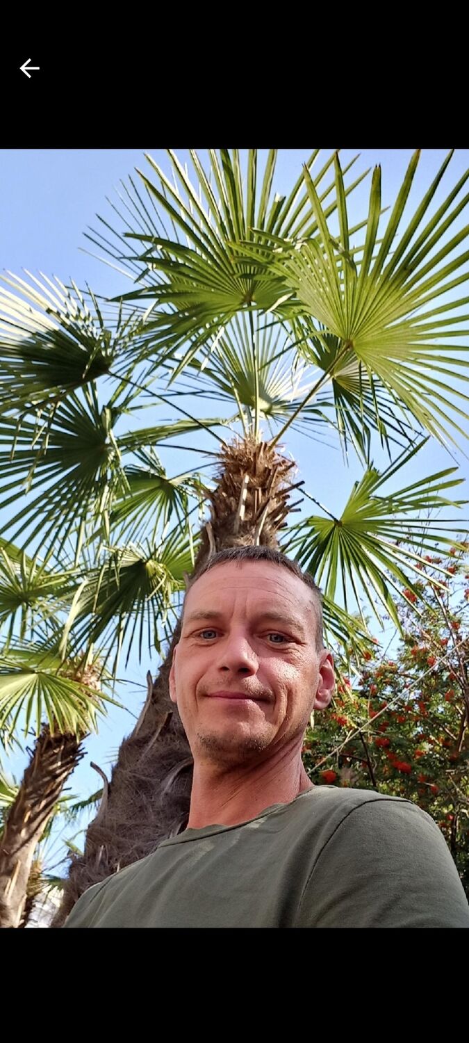 ���� 31139609 ������� �������, 43 ����, ���� ���������� � �����������