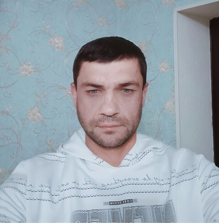  54137999  , 38 ,    