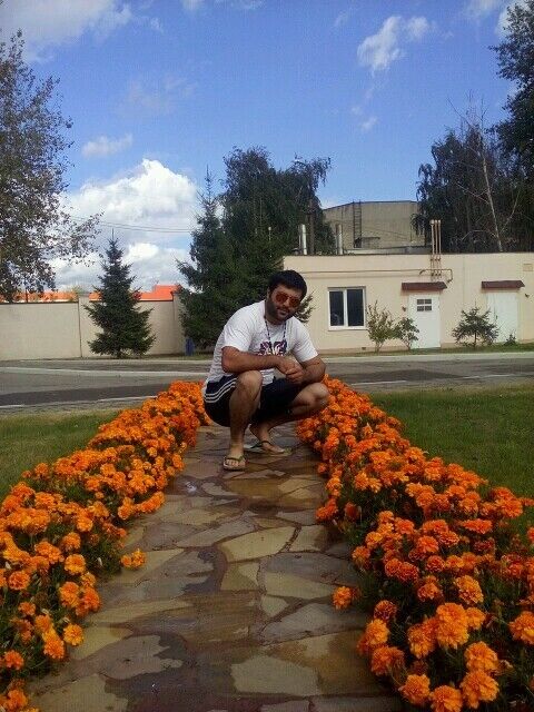 ���������� ������, ���� ������� ALI, 31 ���, ������������ ��� ������, ����� � ���������