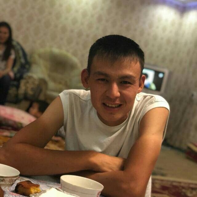  15403189  , 33 ,    