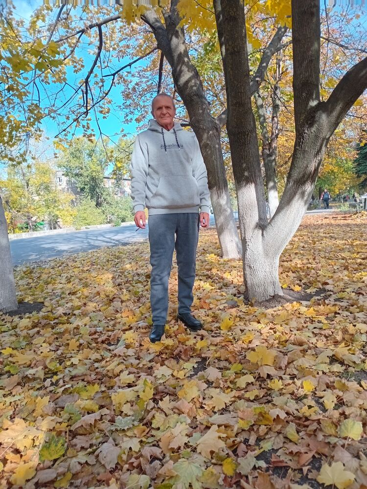  47171279  , 67 ,    