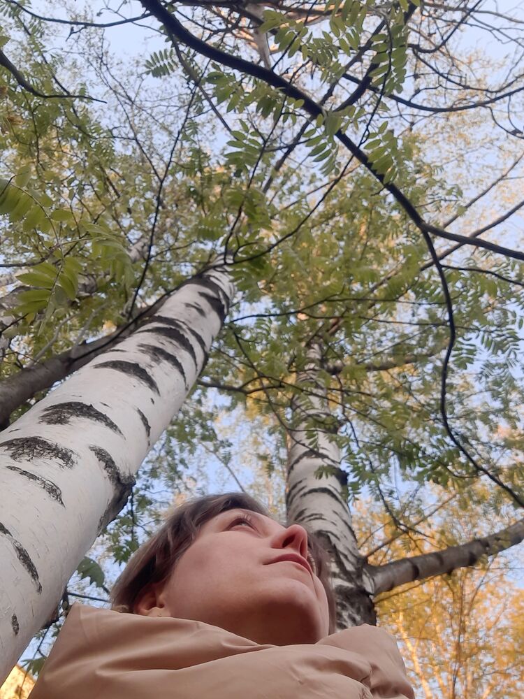 ���������� �����-���������, ���� ������� ����, 44 ����, ������������ ��� c�������� ���������, ���������