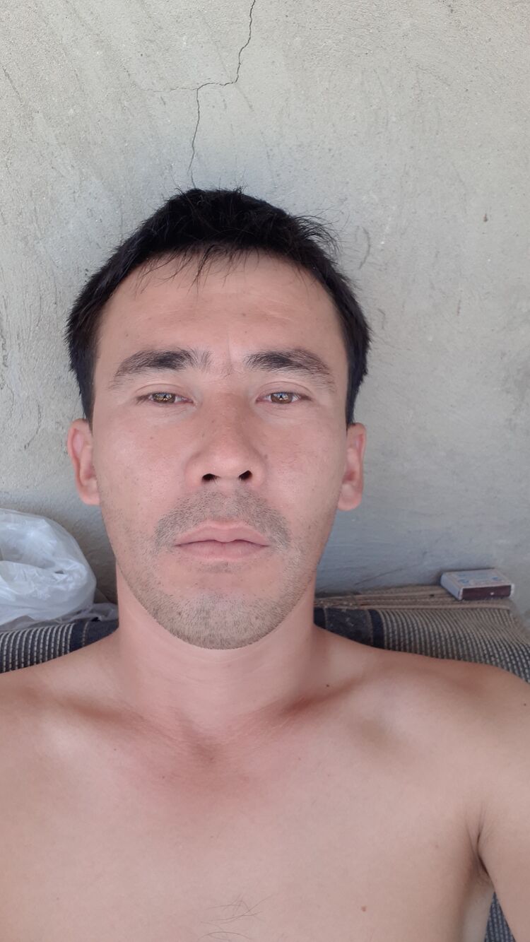 ���� 26856999 ������� ����, 36 ���, ���� ���������� � ������