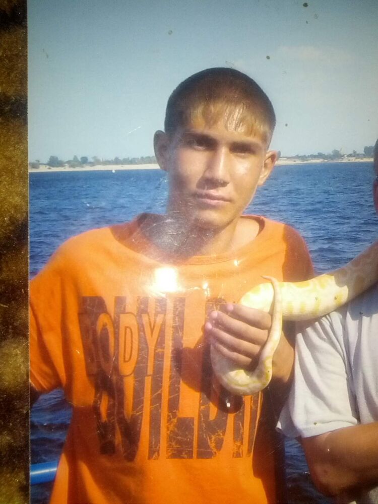 ���� 33884499 ������� ������, 34 ����, ���� ���������� � ����������