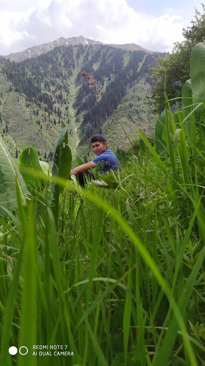 ���������� ������, ���� ������� �����, 34 ����, ������������ ��� ������, ����� � ���������, c�������� ���������