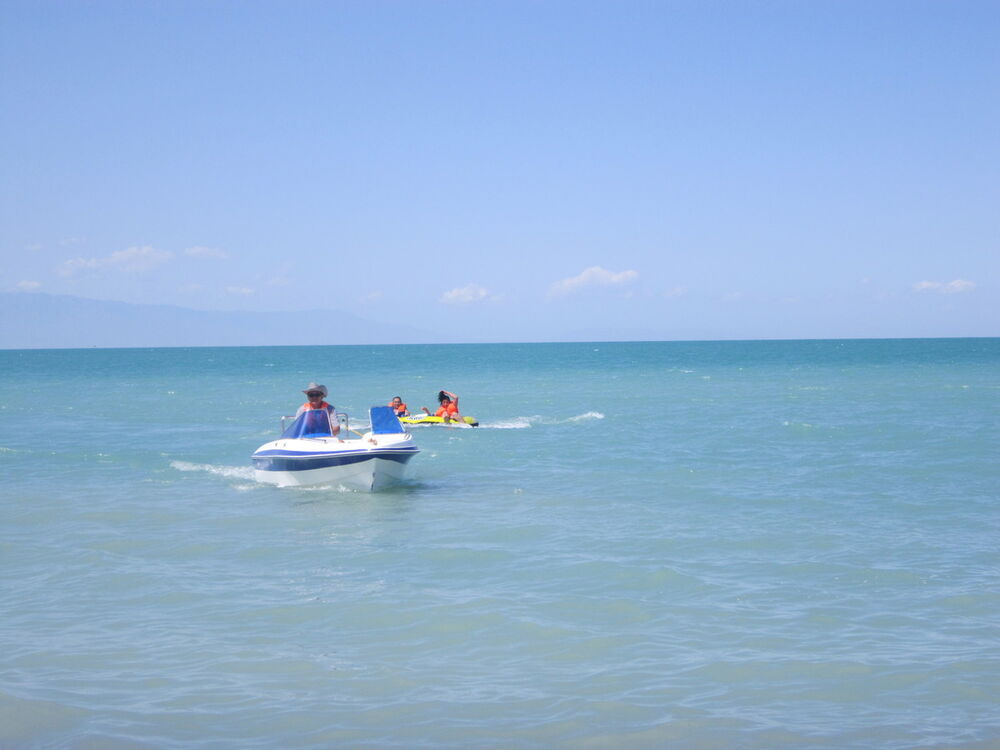 ���������� ������, ���� ������� ������, 49 ���, ������������ ��� ����� � ���������, c�������� ���������