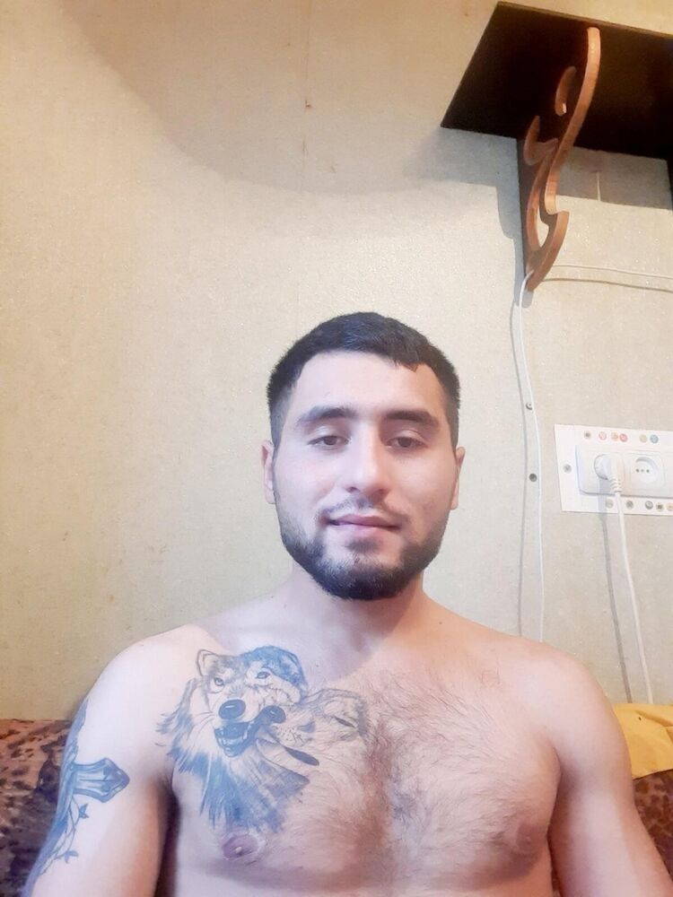  40184619  , 31 ,    
