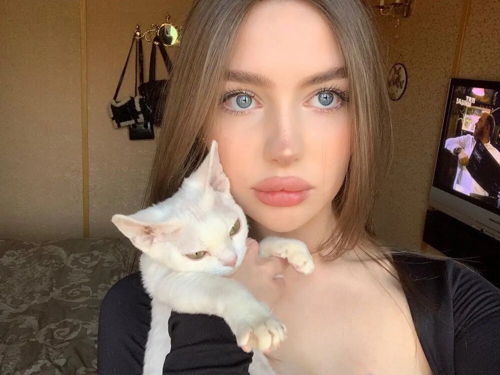  --,   , 24 ,   ,   