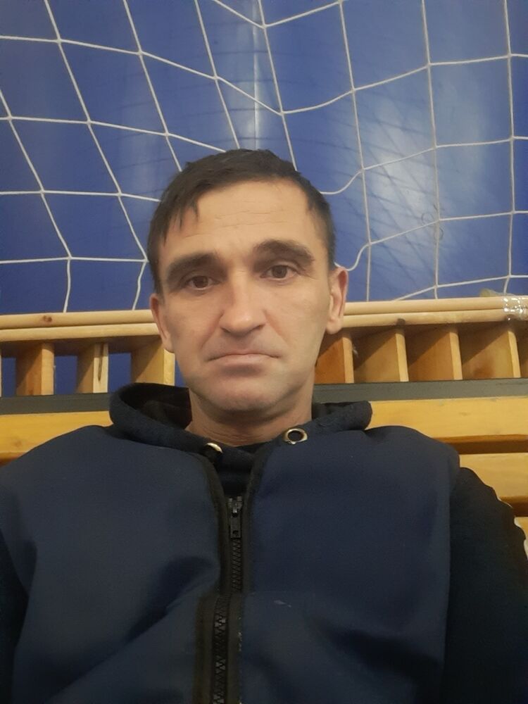  49813629  , 43 ,    -