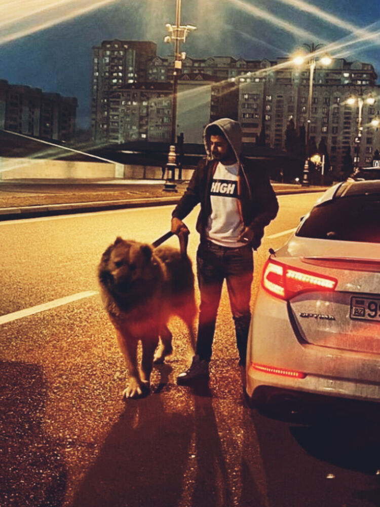 ���� 22559239 ������� Rufo, 33 ����, ���� ���������� � ����