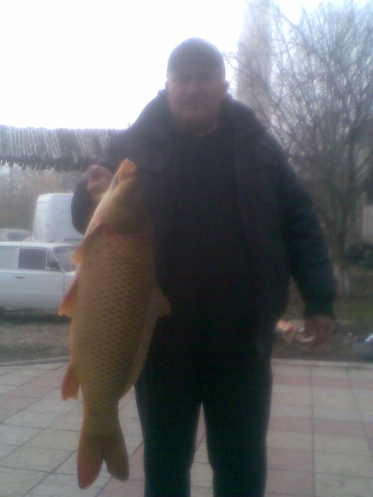  ,   Viorel, 56 ,     , c 