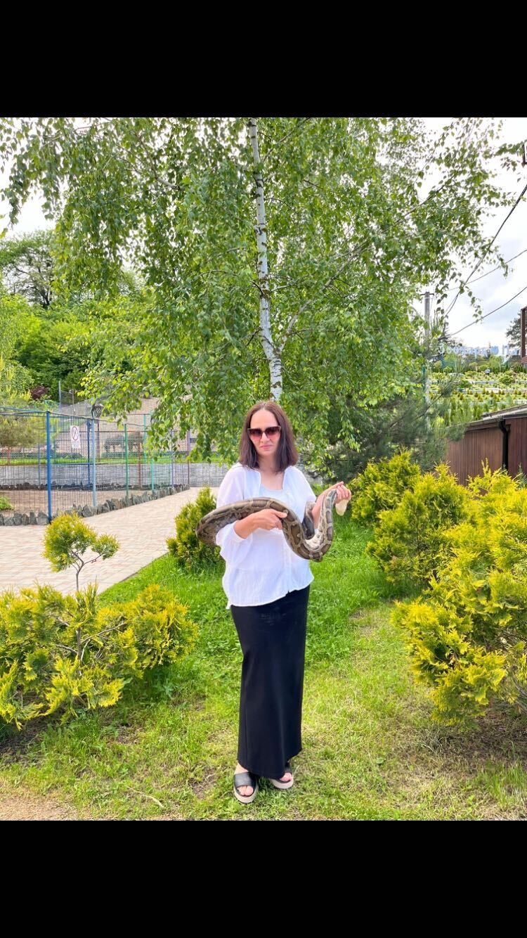 ���������� �������, ���� ������� ������, 43 ����, ������������ ��� c�������� ���������, ���������