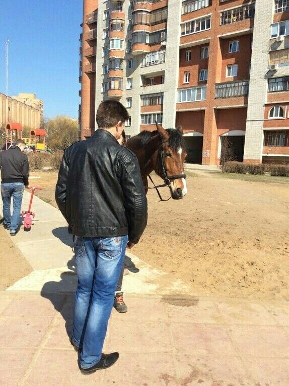  ,   Roman, 40 ,   ,   , c 
