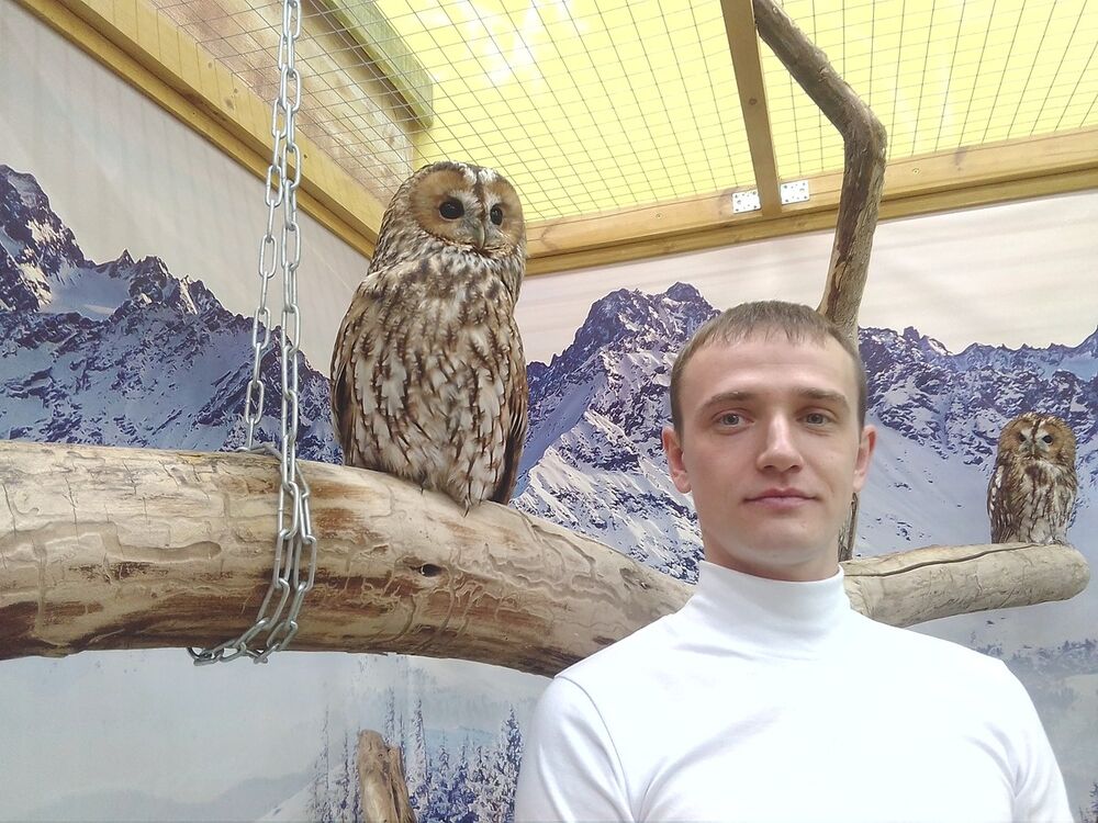 ���������� ������, ���� ������� ����, 38 ���, ������������ ��� ����� � ���������, c�������� ���������