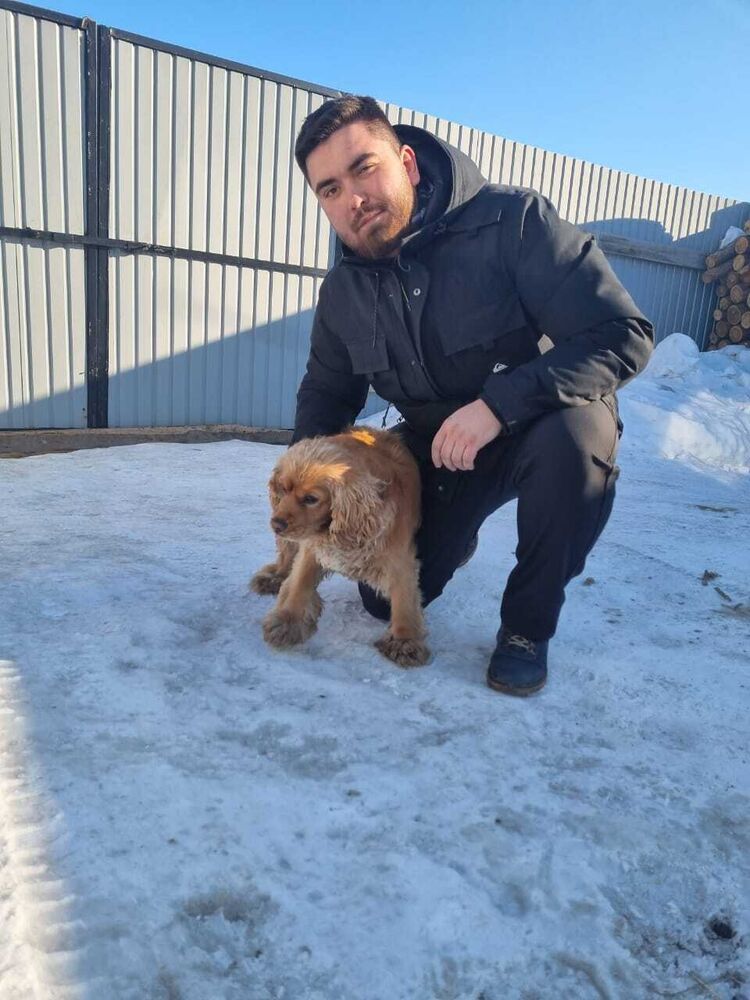 ���������� ������������, ���� ������� �����, 32 ����, ������������ ��� ������, ����� � ���������, ���������