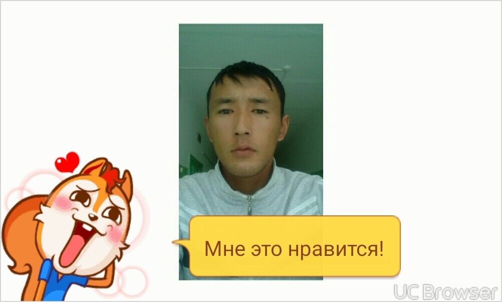  14432569  , 36 ,    -