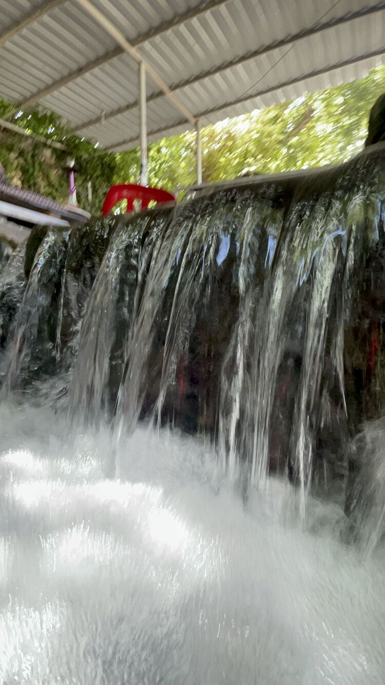  29448189  , 25 ,    