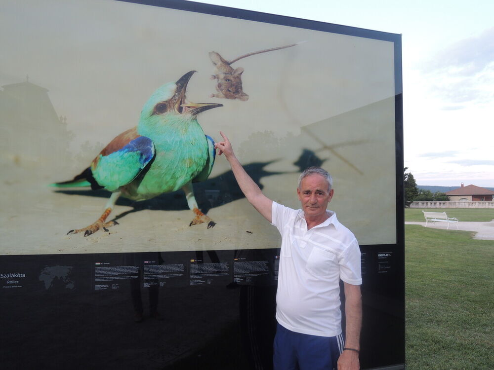 ���������� Donaueschingen, ���� ������� Anton, 65 ���, ������������ ��� ������, ����� � ���������