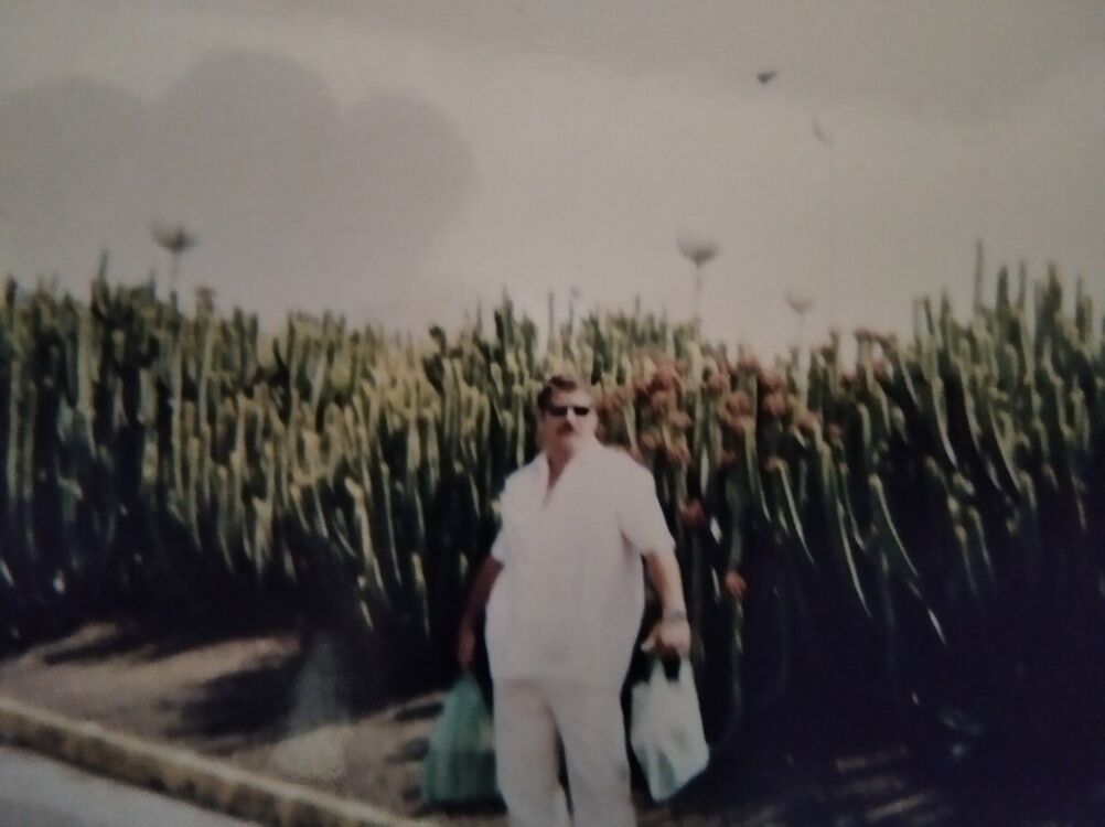  20042189  , 65 ,    