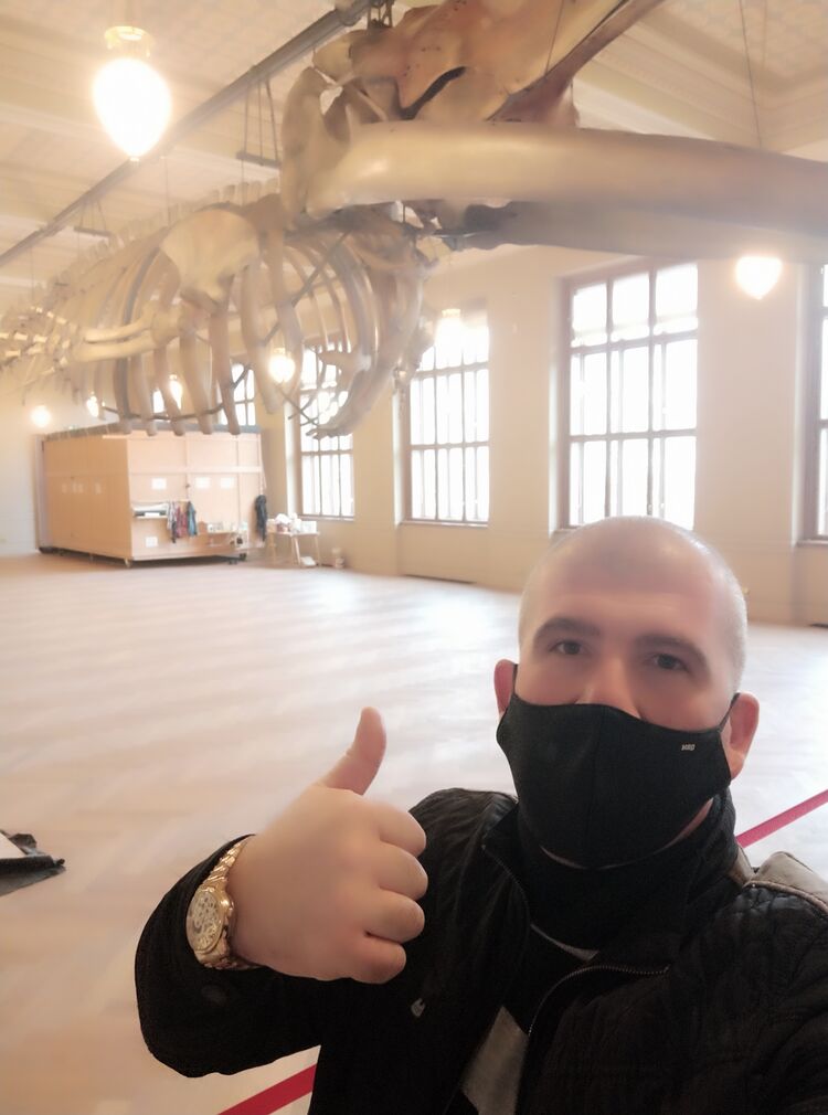 ���������� ���������, ���� ������� ����, 43 ����, ������������ 