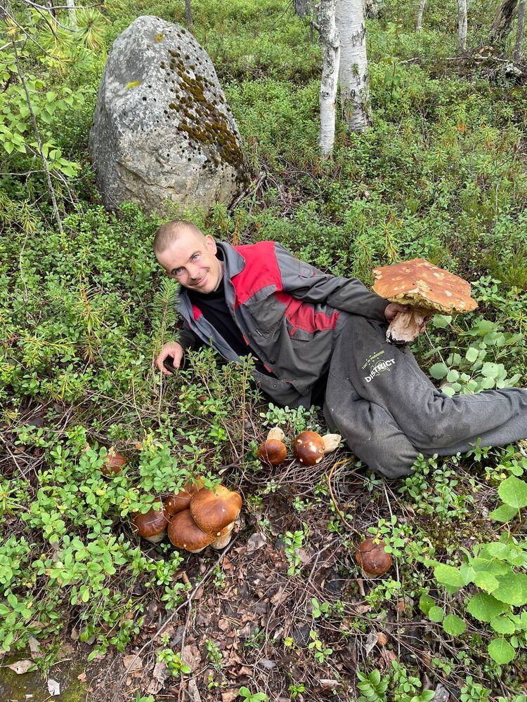 ���������� ������� �����, ���� ������� �������, 36 ���, ������������ ��� ������, ����� � ���������, c�������� ���������, ���������