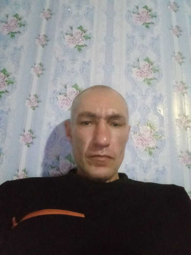  49894399  Vitalic, 43 ,    