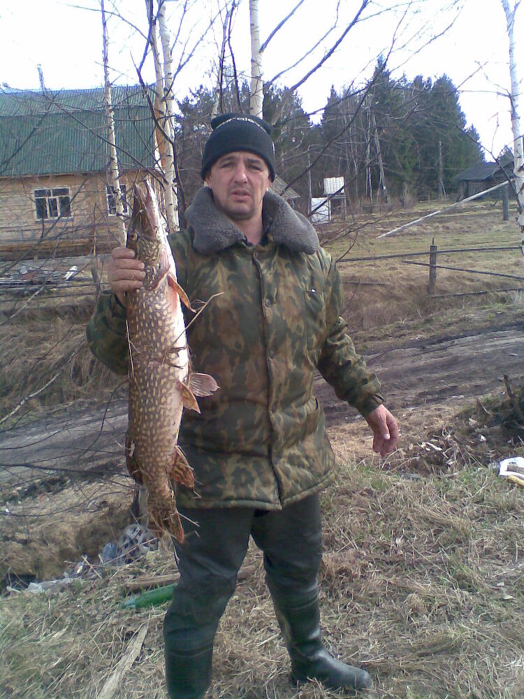  ,   , 48 ,   c 
