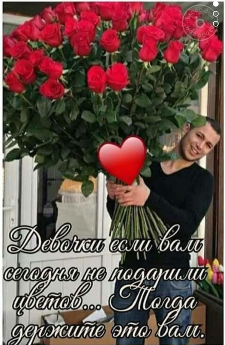 15453309  , 37 ,    