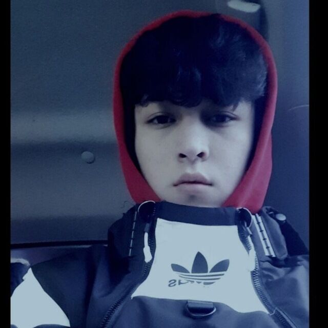  33695679  , 25 ,    