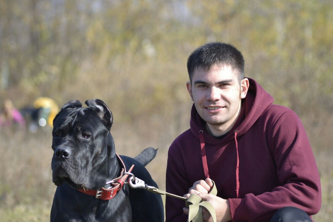 ���������� �����������, ���� ������� ��������, 35 ���, ������������ ��� ������, ����� � ���������, c�������� ���������