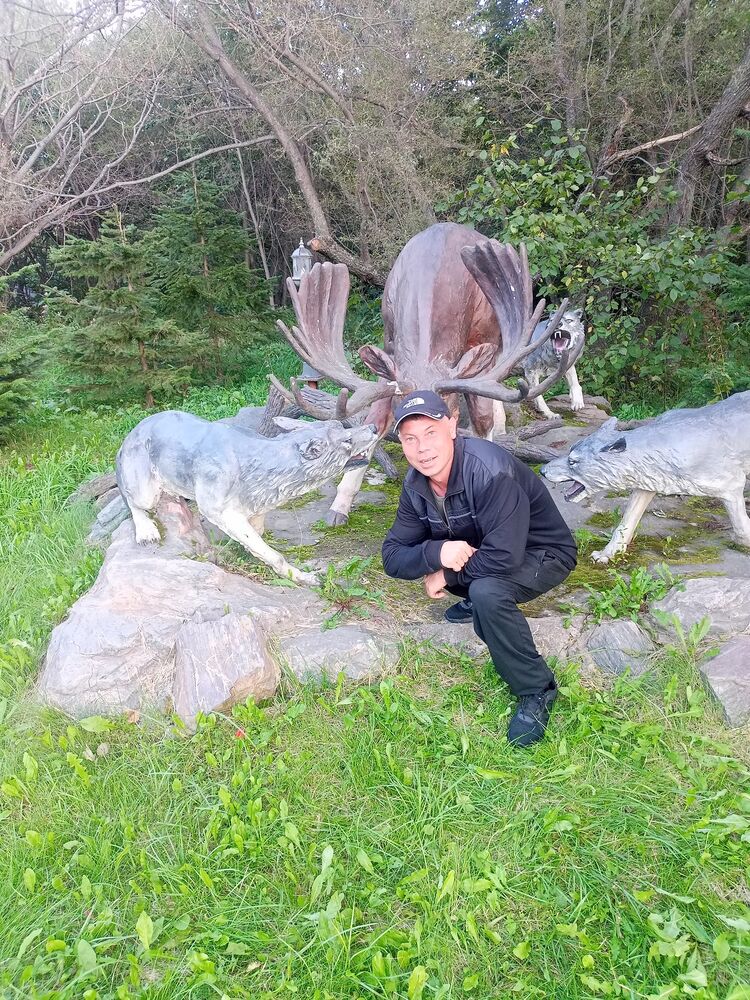  53361059  , 39 ,    -