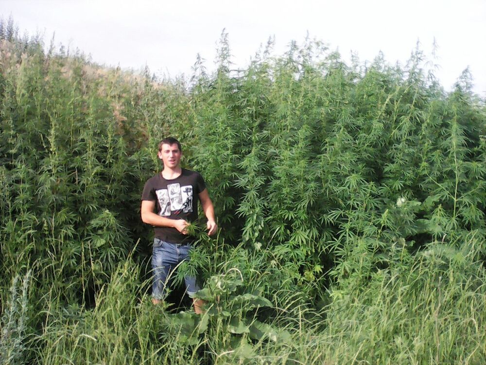 ���������� ��������, ���� ������� ������, 27 ���, ������������ ��� ������, ����� � ���������, c�������� ���������