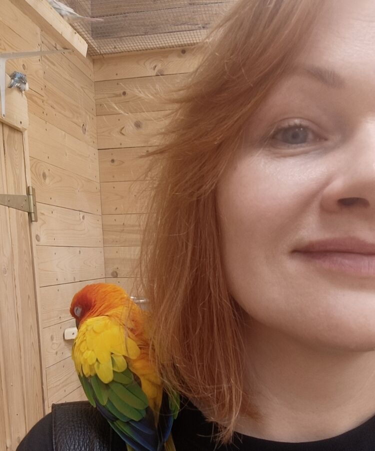 ���� 56114909 ������� �������, 44 ����, ���� ���������� � ������