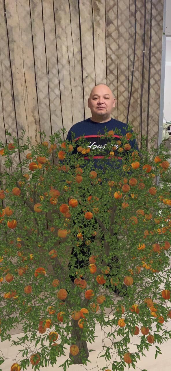 ���������� ������������, ���� ������� �����, 42 ����, ������������ ��� ������, ����� � ���������