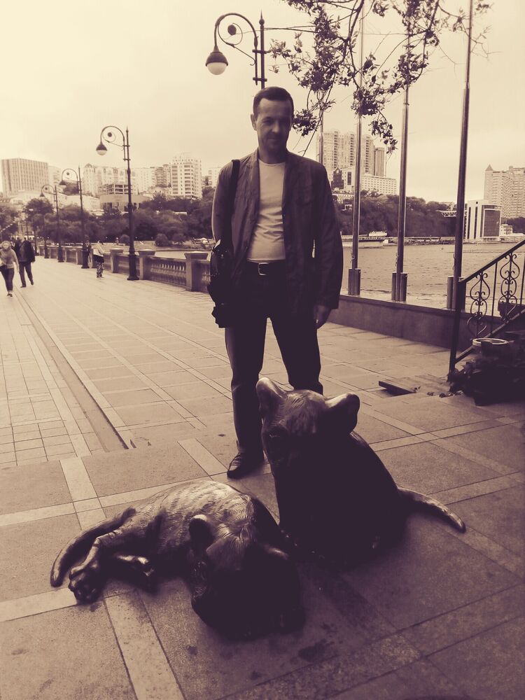 ���� 24309339 ������� ������, 48 ���, ���� ���������� � ������������