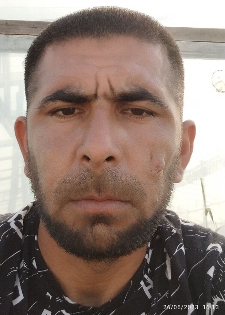 ���� 35506589 ������� ��������, 33 ����, ���� ���������� � ���������