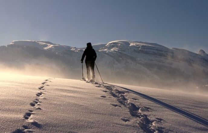 ���� 27312429 ������� ������, 48 ���, ���� ���������� � �����������