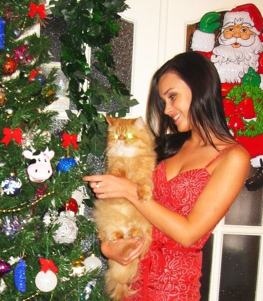 ���� 5519939 ������� ������, 40 ���, ���� ���������� � �������