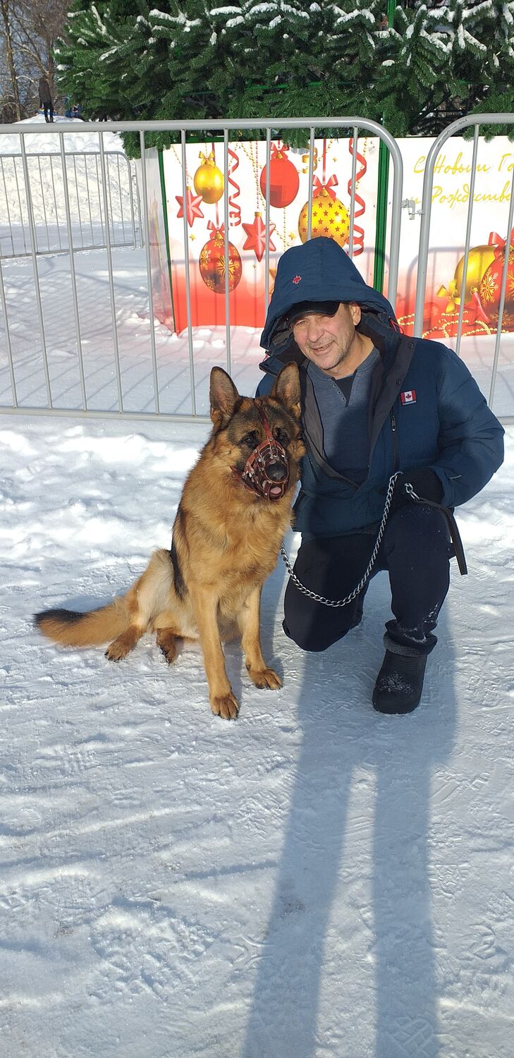 ���������� �������, ���� ������� �������, 55 ���, ������������ ��� ������, ����� � ���������