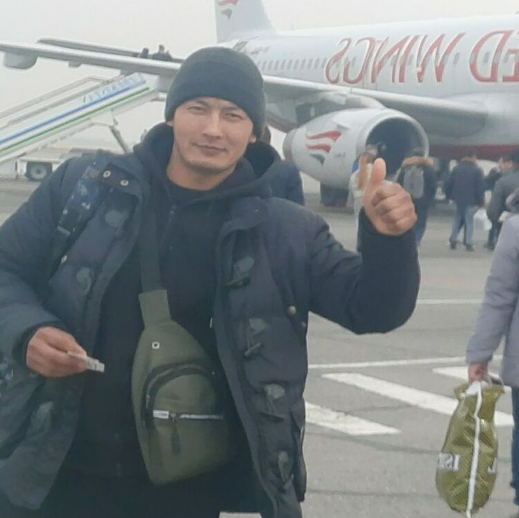  26742289  Mirkomil, 101 ,    -