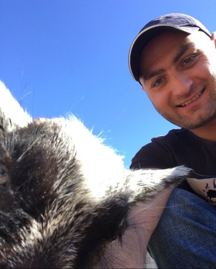 ���� 9130559 ������� Mair, 46 ���, ���� ���������� � ������������